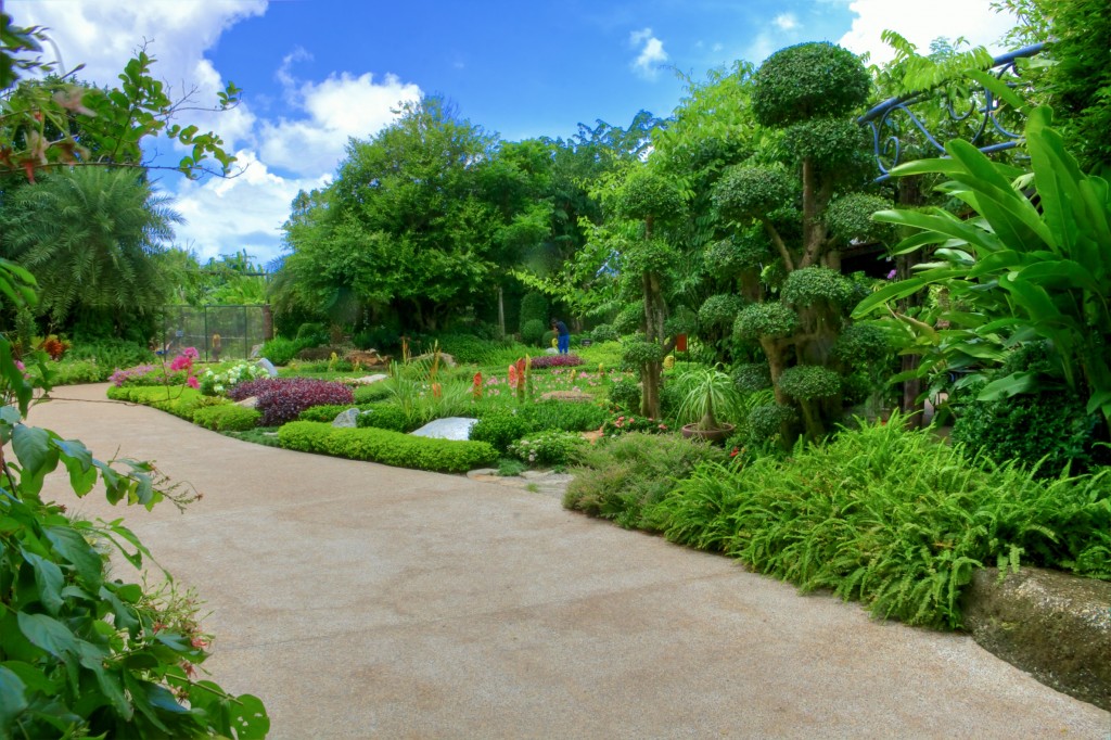 A green garden with numerous paths crossing it. 